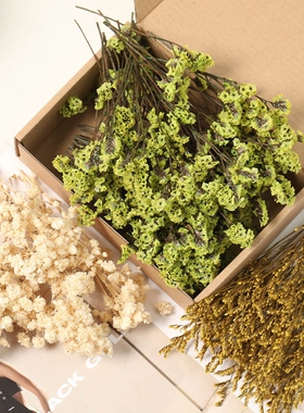 满天星diy永生花制作插花装饰包装壁挂家用拍摄干花材料复古填充
