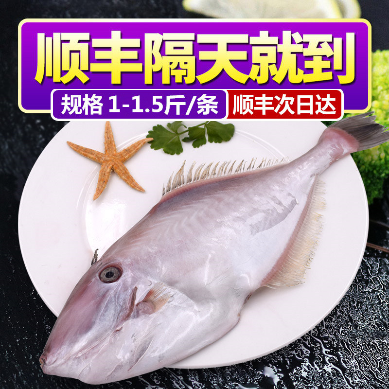 大剥皮鱼马面鱼耗儿鱼剥皮牛打火锅海鲜水产海鱼
