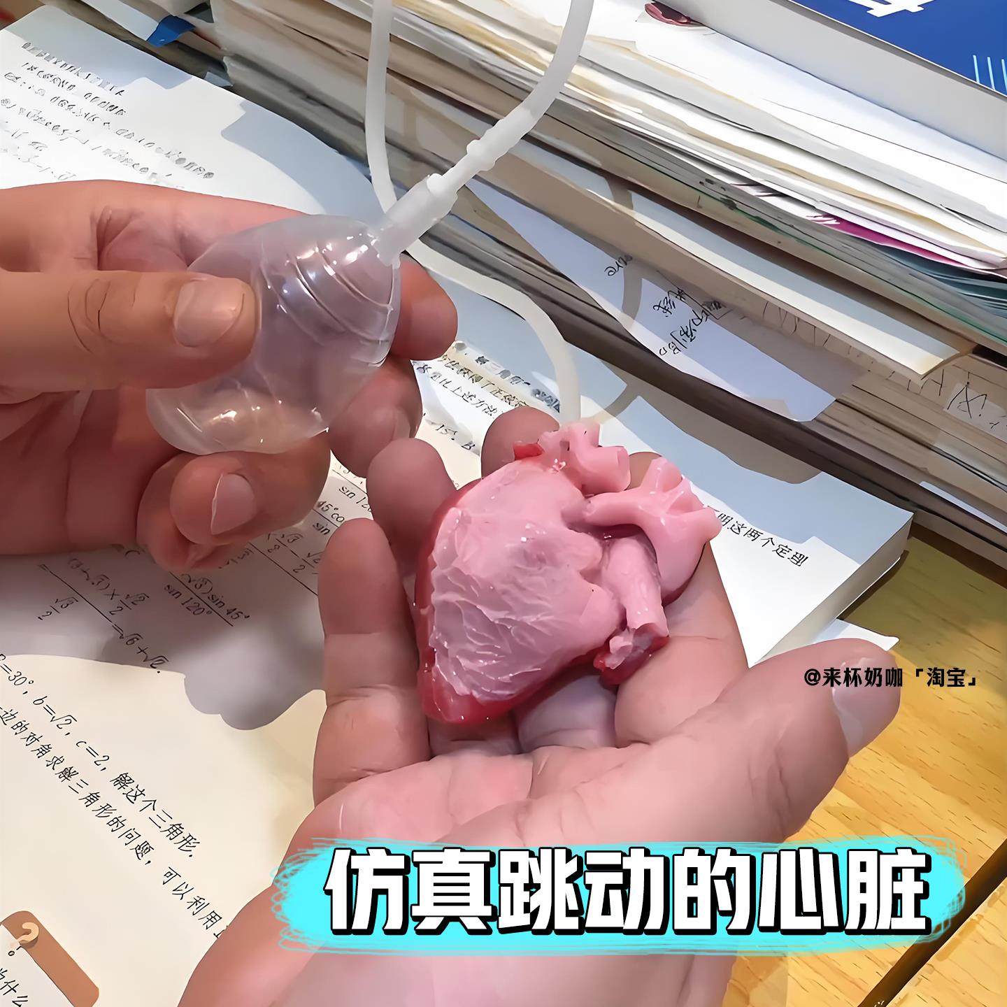 仿真心脏捏捏乐减压玩具创意搞怪整蛊道具小学生模拟跳动心脏捏捏