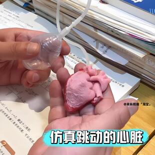 仿真心脏捏捏乐减压玩具创意搞怪整蛊道具小学生模拟跳动心脏捏捏