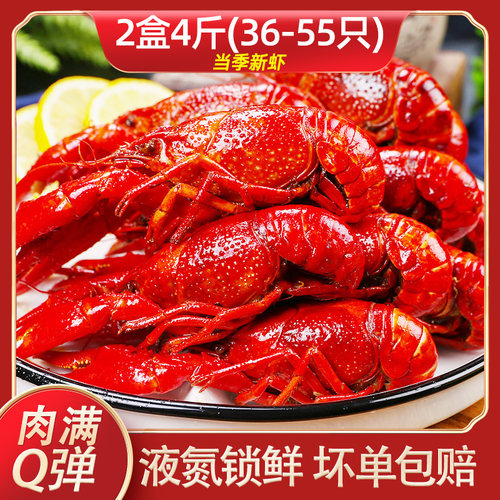 麻辣小龙虾十三香蒜香味厂家直发