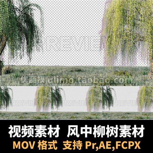 自然垂柳绿叶树枝飘动风中柳树循环 pr/ae/fcpx视频素材