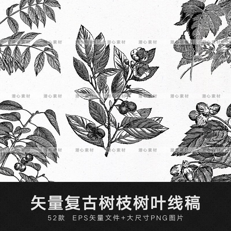 矢量白描黑白草本植物叶子树叶线稿线描装饰印刷图案免扣素材png