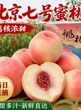 秦安蜜桃北京七号5斤现摘