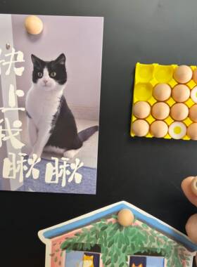 鸡蛋托冰箱贴仿真磁吸便签冰箱装饰可爱冰箱贴2026年新款鸡蛋冰箱