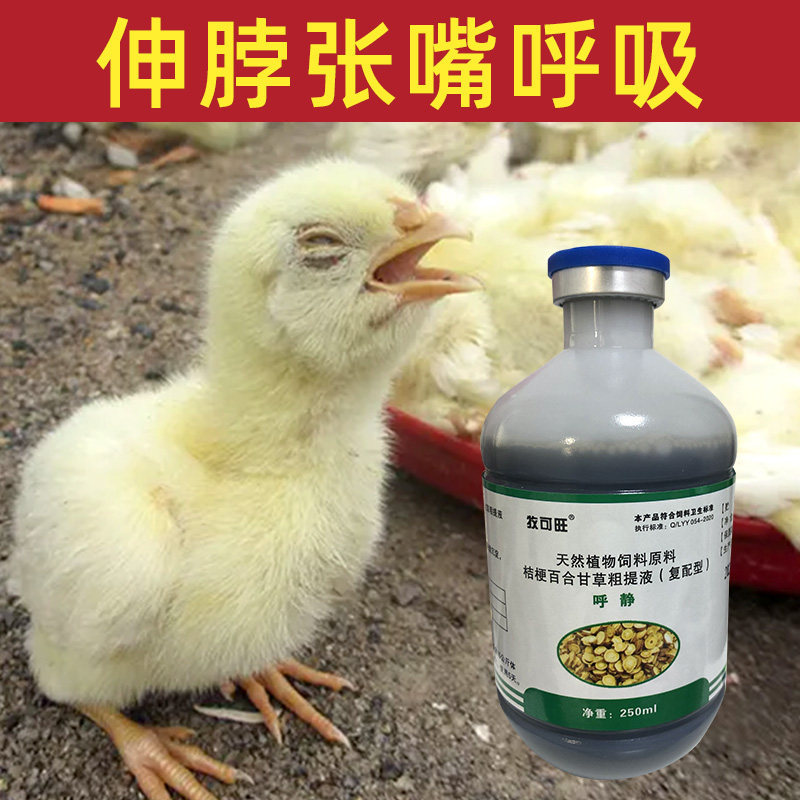 鸡呼吸道怪叫甩头甩鼻张口喘气伸脖子打呼噜没精神闭眼睡饲料原料