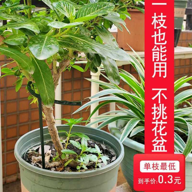 蟹爪兰太阳花支架防倒伏u型花支架室内盆栽多肉支撑枝架t型兰花架