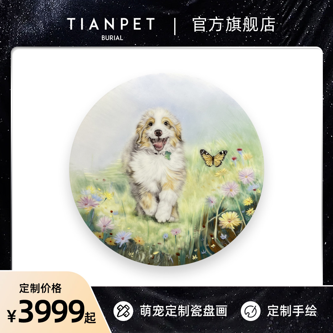 宠物照片手绘纪念瓷盘画像 猫咪狗骨瓷离世留念定制装饰收藏礼物