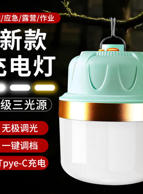 新款充电灯泡夜市摆摊黄白双光源暖光氛围露营灯可携式移动照明灯