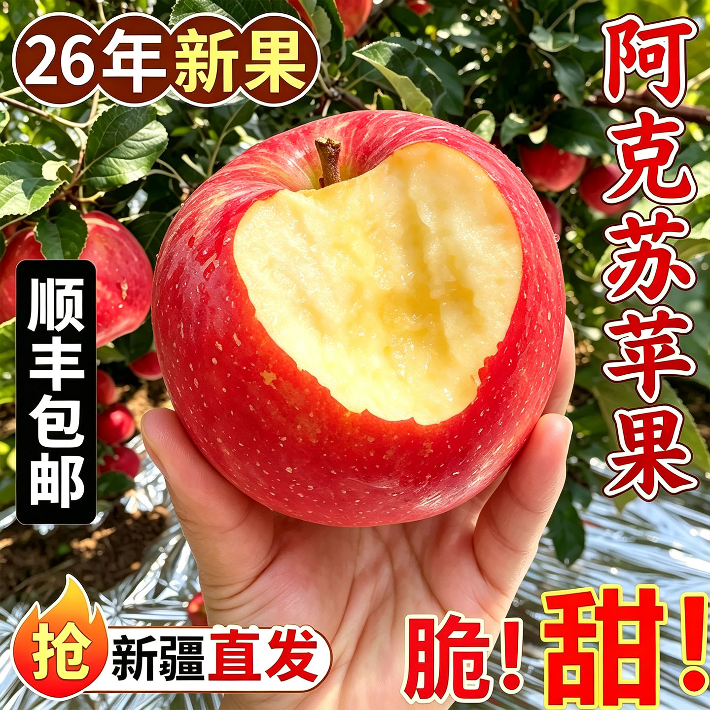 阿克苏苹果新疆红富士产地直发
