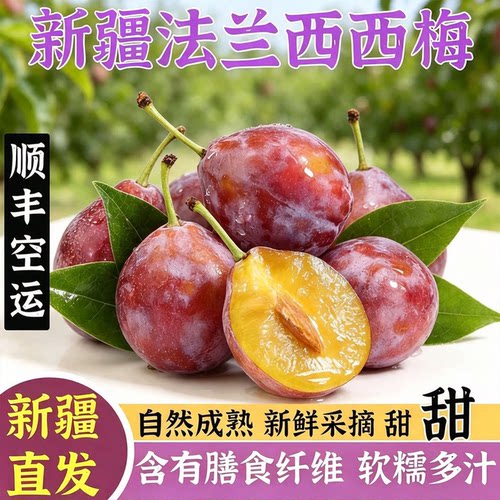 新疆法兰西西梅现摘应季新鲜水果
