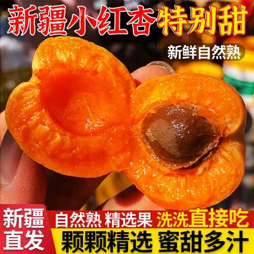 新疆小红杏现摘当季新鲜水果杏