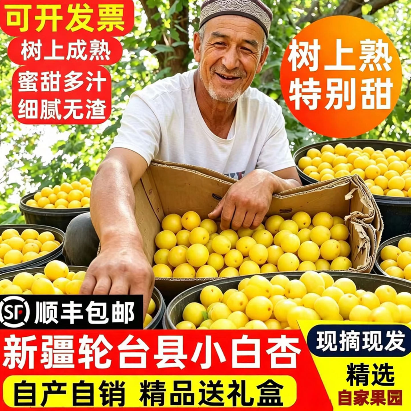 新疆小白杏新鲜正宗轮台自然熟当季现摘甜杏子产地顺丰空运包邮