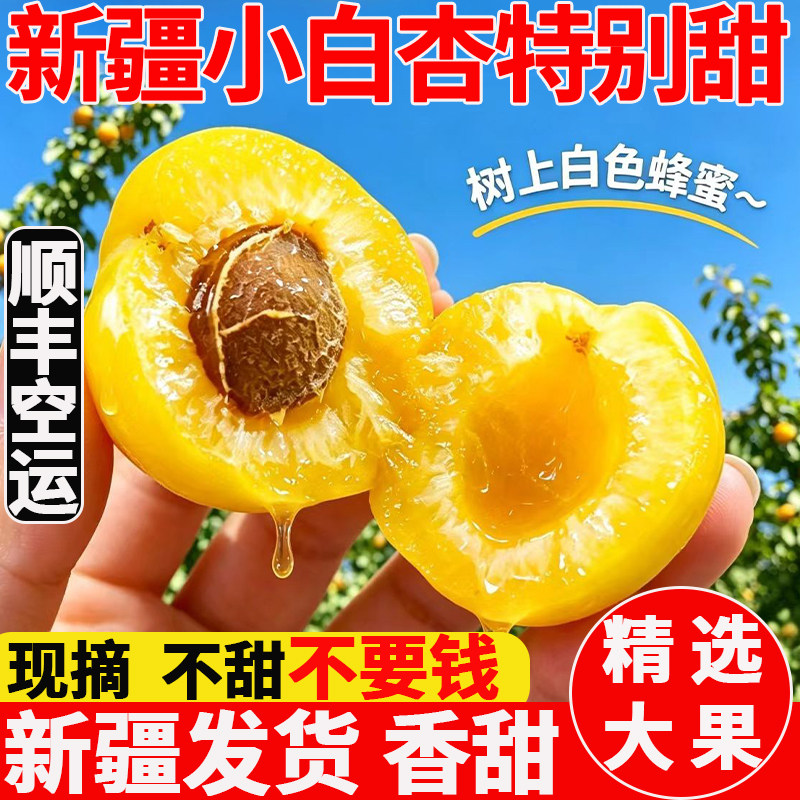 新疆小白杏新鲜现摘多汁甜杏子轮台当季水果整箱礼盒4斤顺丰空运