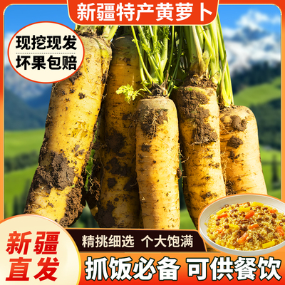 新疆特产黄萝卜冰糖心农家新鲜