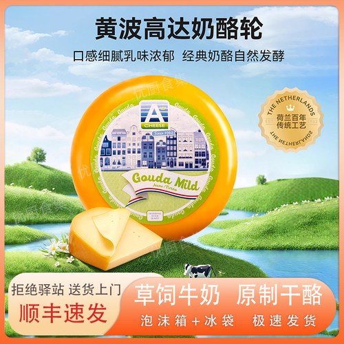 黄波高达GouDa奶酪廷诺天然原制