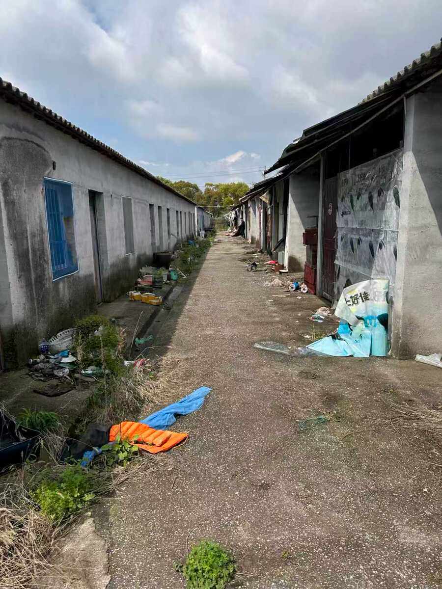 5月7日湖州市吴兴区东林镇星群村临时安置过渡用房拆除平整项目网络拍卖公告