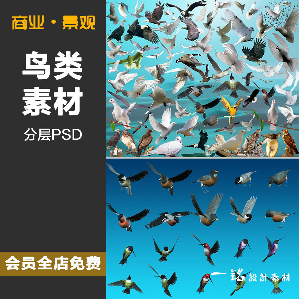 飞翔鸟类群剪影仙鹤等装饰免抠png透明背景后期美化ps图片素材