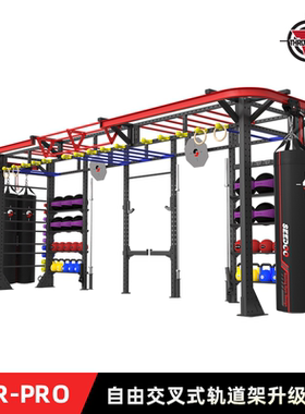 仕尔道自由交叉式轨道架FCTR拳馆格斗健身工作室拳击沙袋沙包架子