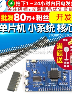 51单片机 小系统板 STC89C52 STC51 STC89核心板 开发板 学习板