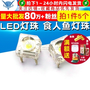 食人鱼 F5mm 圆头 直插灯珠LED灯 5个 高亮 白光 发光二极管