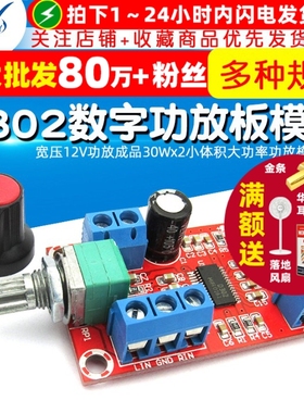 D302数字功放板 宽压12V功放成品30Wx2小体积大功率功放模块diy