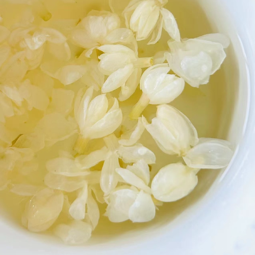 笠禾养生花草茶茉莉雪球花茶