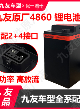 九号电动车4860电池原装4868锂电池电源DZ110p/mmax110P增程电池