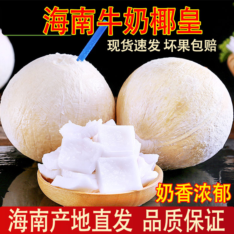 海南牛奶椰皇新鲜椰子奶香小奶椰