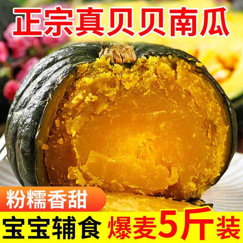 正宗山东淮坊贝贝小南瓜板栗味新鲜粉糯香甜栗面婴儿辅食产地直发