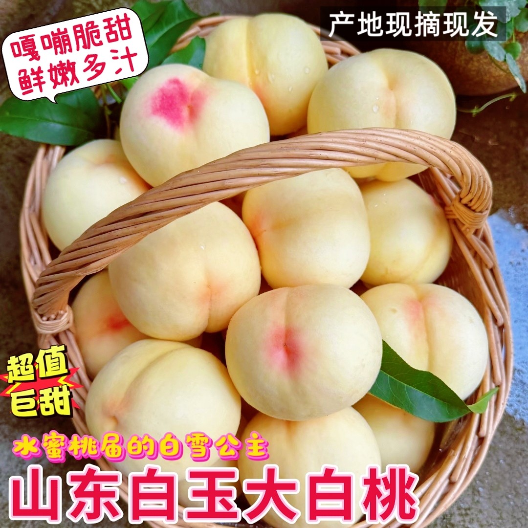正宗白玉桃山东水蜜桃脆甜奶油大白桃当季新鲜临沂现摘产地直发