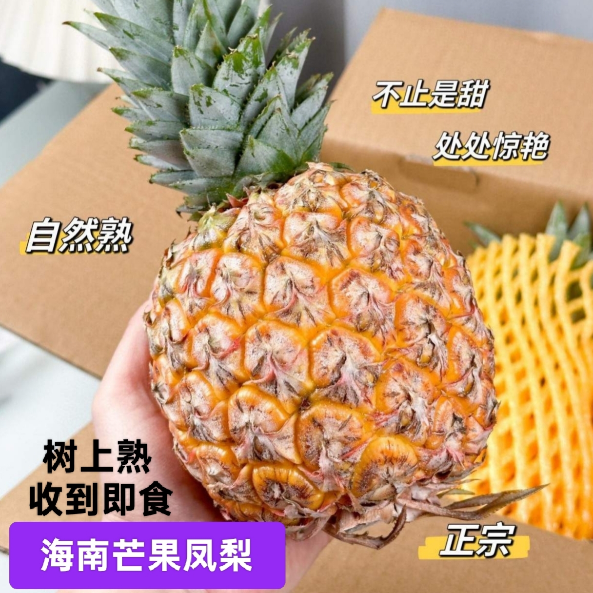 正宗海南树上熟芒果凤梨新鲜水果大果礼盒装当季孕妇芒果风味凤梨