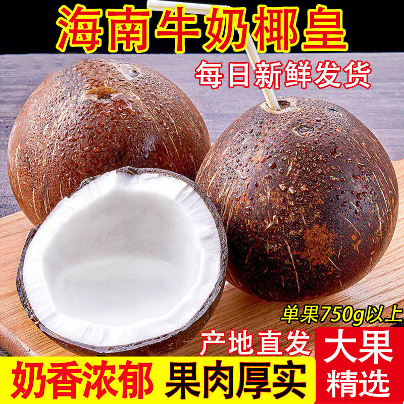 海南牛奶黑椰皇大果新鲜水果文昌特产去皮老椰子商用清补凉榨椰汁,水产肉类/新鲜蔬果/熟食,椰青,淘宝优惠券,粉丝福利购,淘宝优惠卷