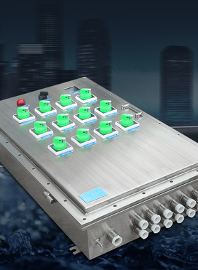 不锈钢照明防爆隔爆动力电源配电箱回路控制箱成套电路定制IP65箱