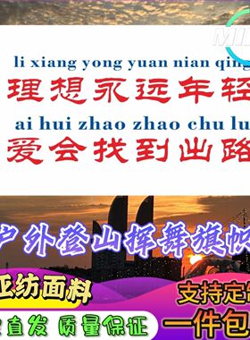 理想永远年轻爱会找到出路旗子定做登山大旗音乐节手摇旗定制文案