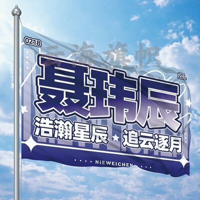 聂玮辰应援大旗TF家族户外演唱会手持大旗明星音乐节歌手大旗定制