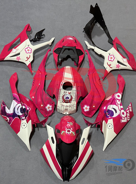 适用宝马S1000RR 2019-22 全车外壳包围护板FAIRING整流罩M1000RR