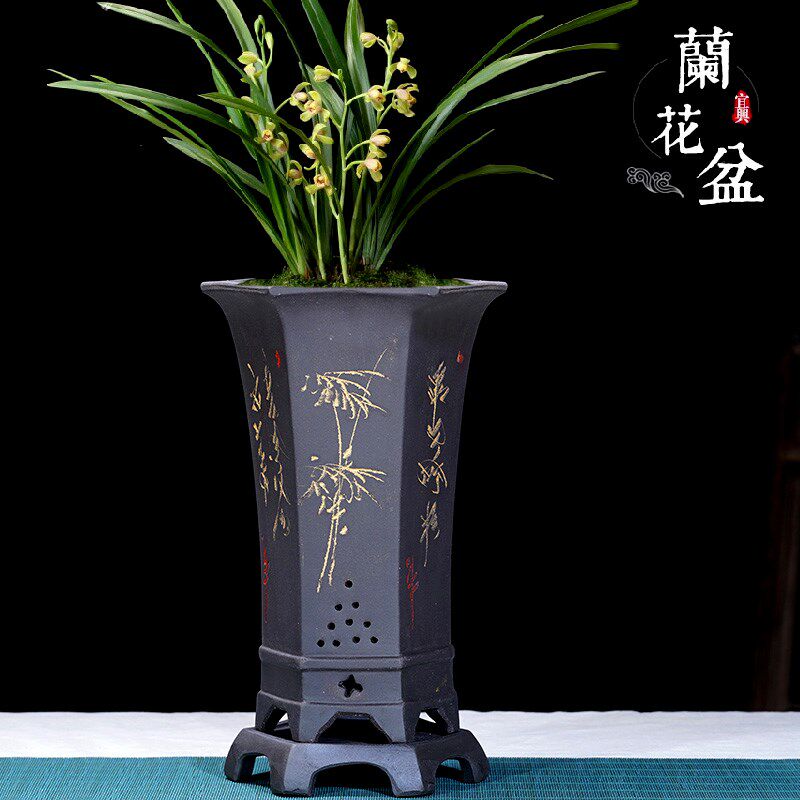 宜兴紫砂盆六方兰花盆花卉绿植物盆栽大号手工花盆盆栽盆绿萝底盘