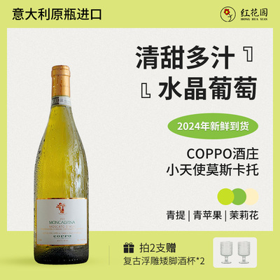 coppo酒庄小天使莫斯卡托