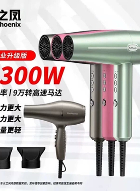 火之凤吹风机M3理发店发廊发型师子高速电吹风专用大功率负离