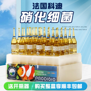 法国科迪硝化细菌鱼缸消细化菌净水剂水质稳定剂水族微量元素淡海