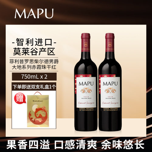 大地MAPU赤霞珠干红葡萄酒