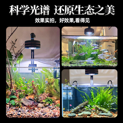 鱼缸造景爆藻植物生长灯led全光谱增艳溪流筒灯龙门架专用水草灯