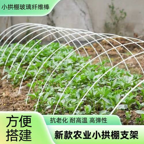 小拱棚支架玻璃纤维棒农用蔬菜保温棚家用小型大棚骨架玻璃纤维管
