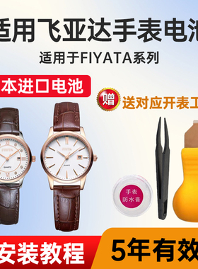 适用于飞亚达手表电池DL0022 21001 21006 27000 802050 865000日本进口纽扣电子