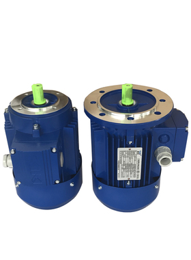 台州清华机电制造有限公司三相异步电动机MS8024-0.75KW380V IP55