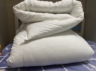 羽绒被白鹅绒被单人150 210cm匈牙利大朵白鹅绒春秋被600克