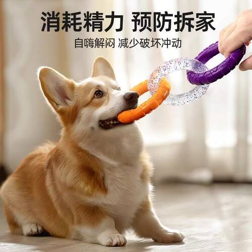 出口欧美TPR弹力圈宠物狗狗互动训练耐咬洁齿出口外贸玩具