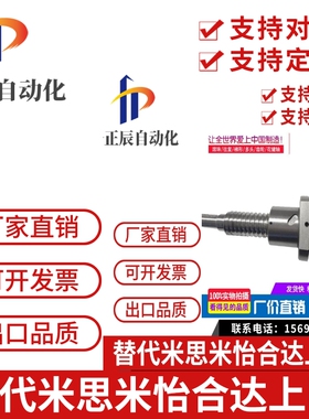滚珠丝杆BTWE/BTWP1616 2020 2505 1204 1510 1520 2010 2510丝杠
