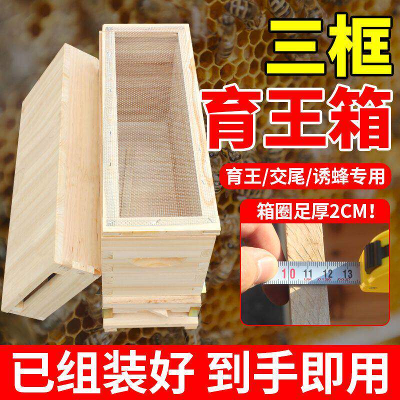 蜜蜂育王箱 蜂王交尾箱 杉木三框蜂箱育王分蜂专用小型交尾蜜蜂箱